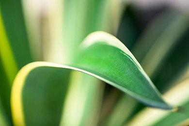 《曼岛TT：边缘竞速3》新预告 展示预购奖励涂装